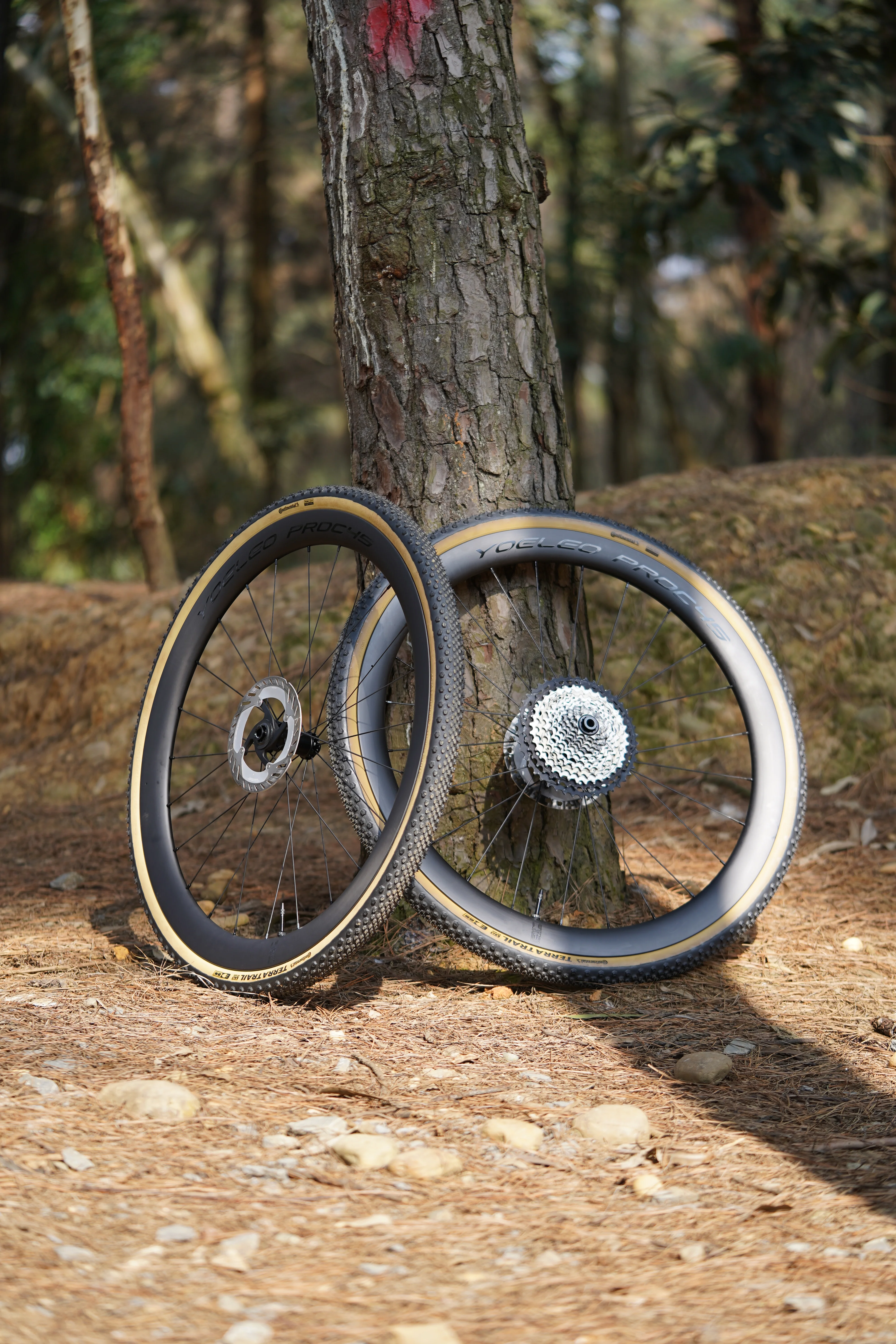 パーツ YOELEO SAT C45 DB PRO NXT Best Wider Gravel Carbon Wheelset - Gravel Bike Carbon